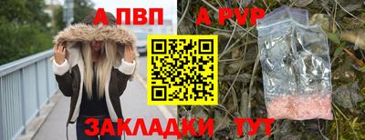 шишки Гатчина